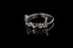 Loved Ring